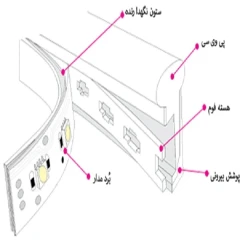 ریسه نئون فلکسی مدل v12 طول 1 متر
