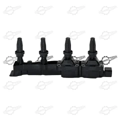 کوئل 206 تیپ 5 طرح مایفو کارو
