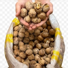 گردو پوست کاغذی عمده_پنج کیلویی