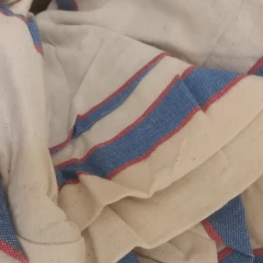 چادر ماشین آماده برای پژوپارس