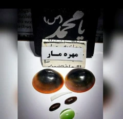 مهره مار مامبای سیاه