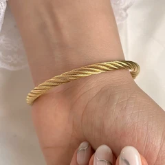 تک پوش بنگل بکسلی