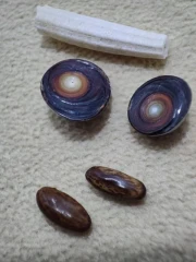 مهره مار اصل بادعای به نام وفعال (کپی)