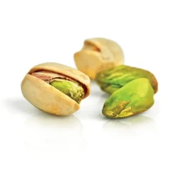 نهال پسته خنجری دامغان