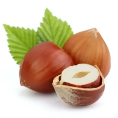 نهال فندق بتلر