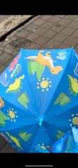 چتر‌پسرانه