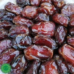 خرما کبکاب