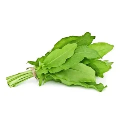 بذر سورل سبز آمریکایی