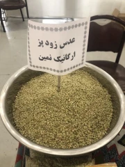 عدس زود پز ارگانیک نمین در بسته بندی 1 کیلویی