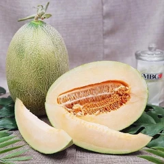 بذر خربزه بلخی