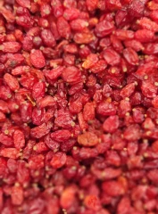 زرشک پفکی درجه یک اعلا خشکبار ترش