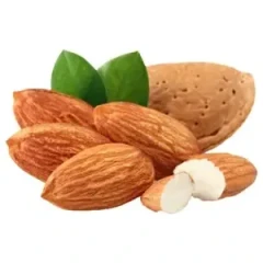 نهال بادام تونوalmondTono