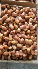 خرما زاهدی صادراتی نصف قیمت از باغدار