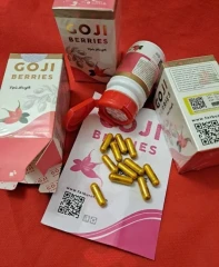 قرص لاغری گوجی بری گیاهی اصل | کاهش وزن سریع و طبیعی GOJI BERRIES