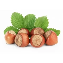 نهال فندق گردویی