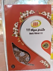 گندم سیاه