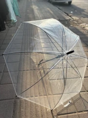 چتر شیشه ای شفاف