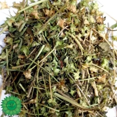 بادرنجبویه