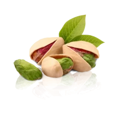 نهال پسته اسرائیلی