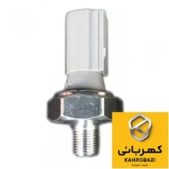 سنسور دمای آب آریو