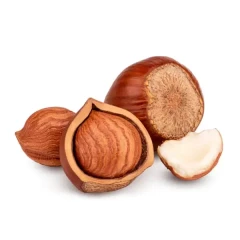 نهال فندق ماکادمیا