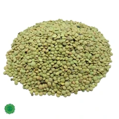 عدس ریز