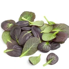 بذر اسفناج خردل ژاپنی قرمز