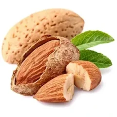 نهال بادام آذرalmondazar