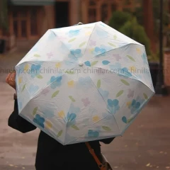 چتر جیبی کاور دار کادویی آبی