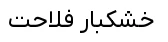 چیپس خرما