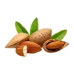 نهال بادام ماماییshahroudi 21