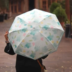چتر جیبی کاور دار کادویی سبز