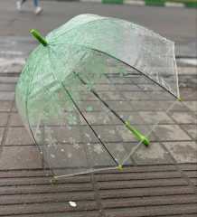 چترشیشه ای گلدار