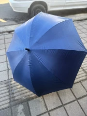 چترمردانه بزرگ