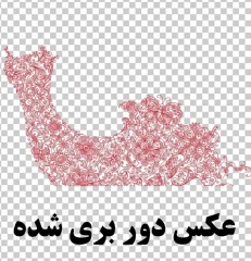 وکتور لباس عروس