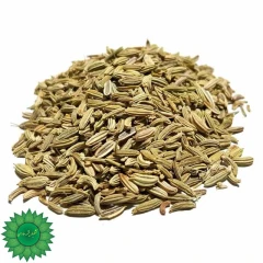 رازیانه | بادیون
