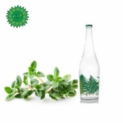 عرق آویشن