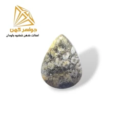 نگین فسیل مرجان (کد 10)