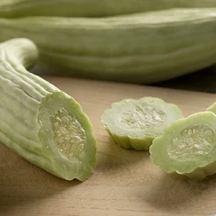 بذر خیار چنبر هیبرید