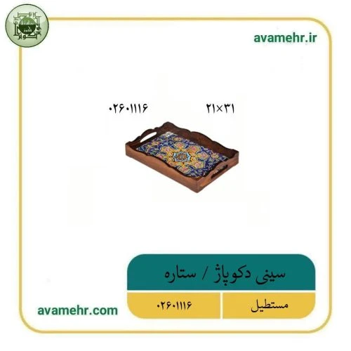 02601116-سینی دکوپاژ مستطیل کوچک 21در31-ستاره-ماهد