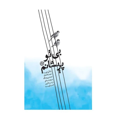 102195-کتاب بی تو پریشانم-روایت فتح