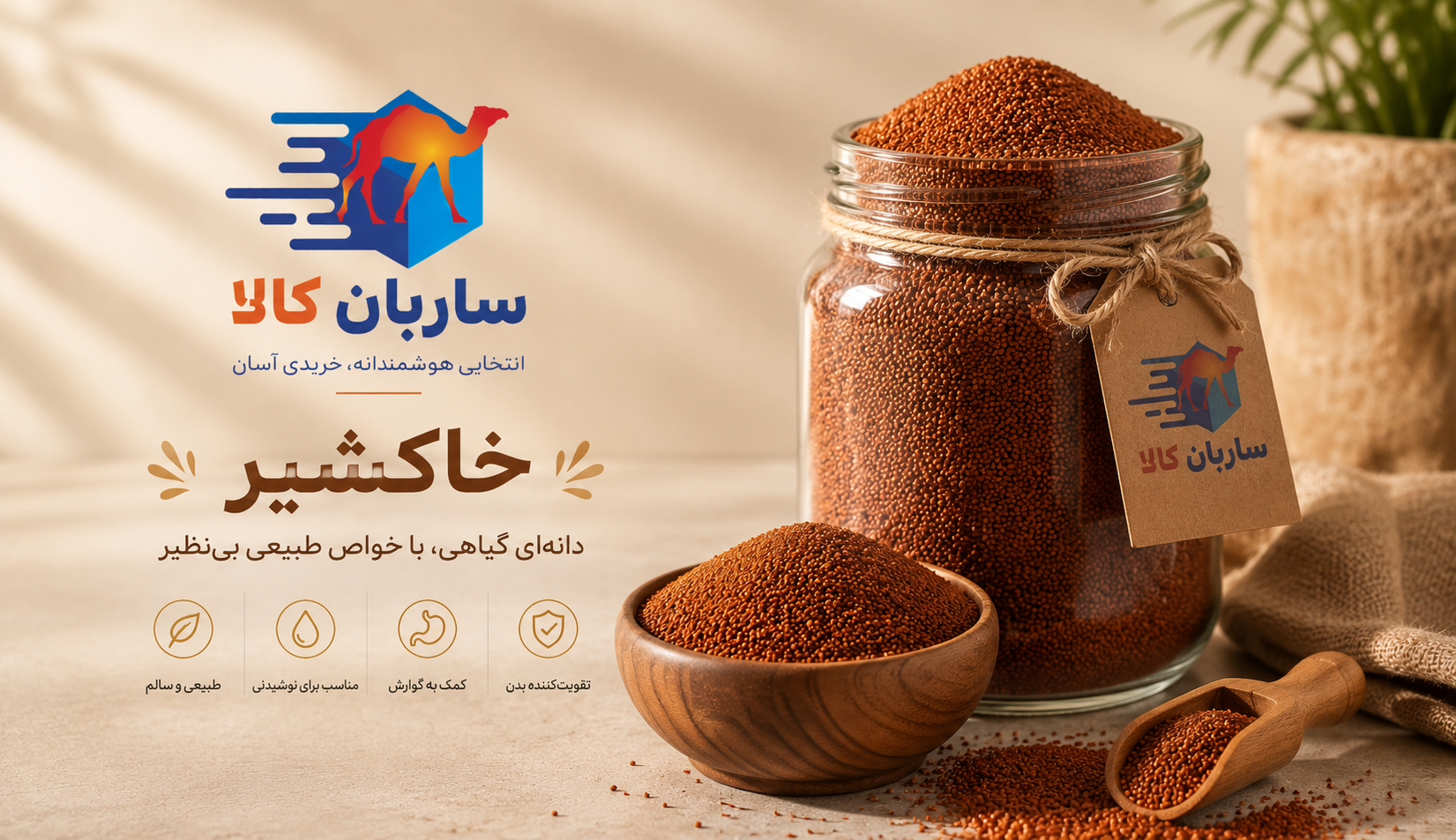 دانه‌های خاکشیر