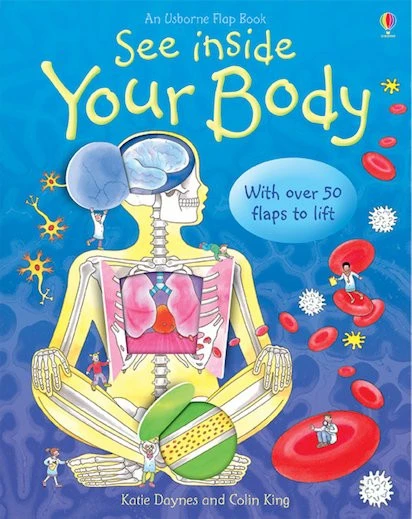 An usborne flap book See inside your body