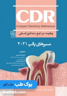 CDR مسیرهای پالپ 2021