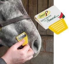 EQUI_SHAVE