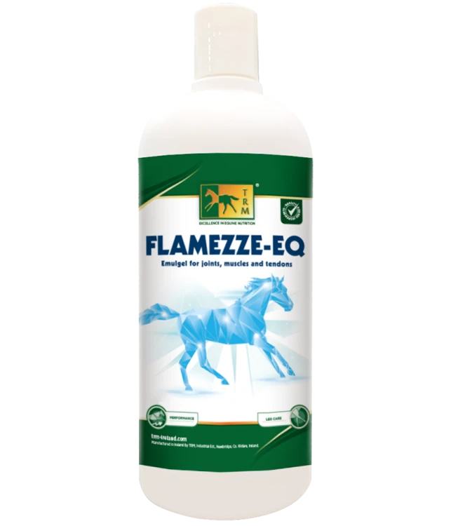 FLAMEZZE-EQ