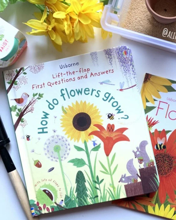 First Q & A How do flower grow