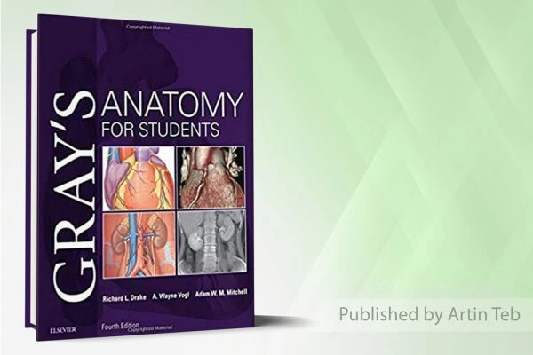 Gray’s Anatomy for Students 4th Edition2024