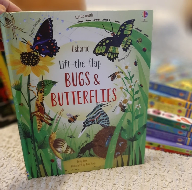 Lift the flap bugs & butterflies 🦋