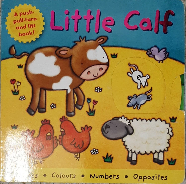 Little calf